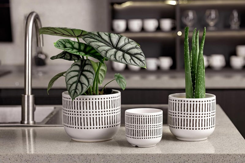 Docrin Store 3-Pack Ceramic Planters Set - 6.5"+5.3"+4" Dual-Tone Flower Pots with Drainage Holes, Modern Indoor Outdoor Planters for Succulents/Herbs/Large Plants, Home Office (Brownish Black & White) - Image 4
